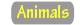 Animal Collection