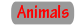 Animal Collection