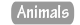 Animal Collection