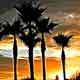 Arizona Sunset