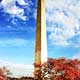 Cherry Blossoms Washington Monument