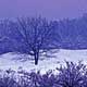Clifton Snow Storm