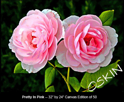 PrettyInPink